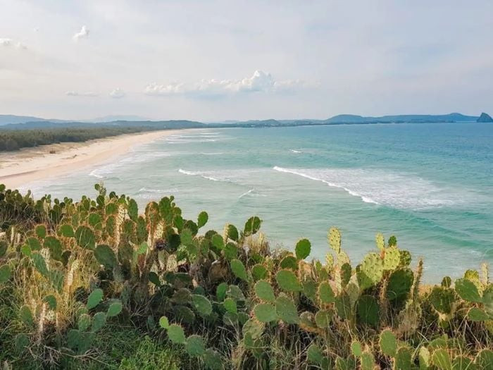 Du lịch Phú Yên